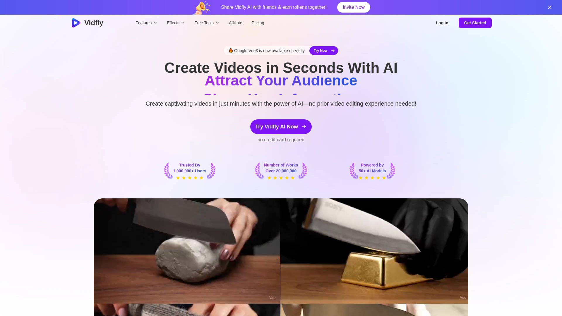 Vidfly - AI Tool Screenshot and Interface Preview