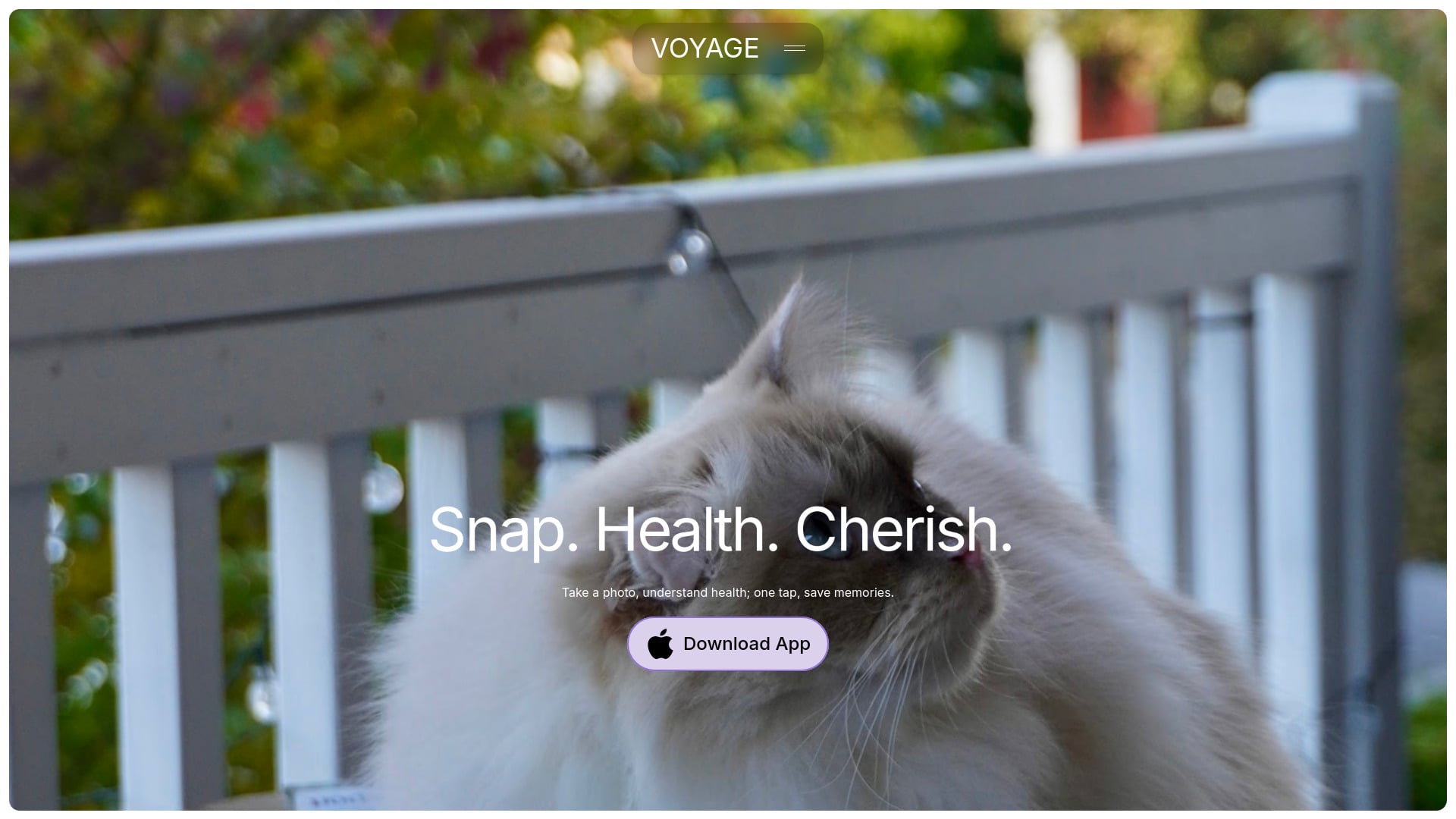 Voyage Pet AI - AI Tool Screenshot and Interface Preview