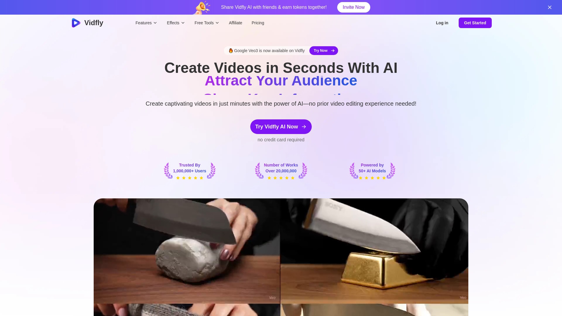 Vidfly